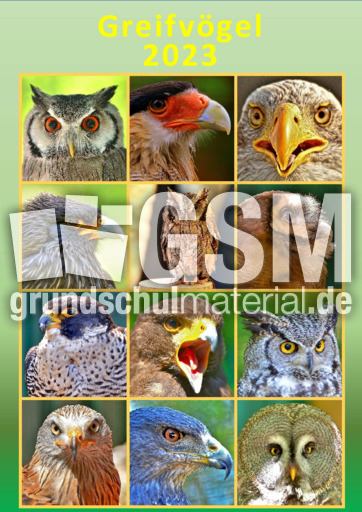 Greifvögel_2023_2.pdf